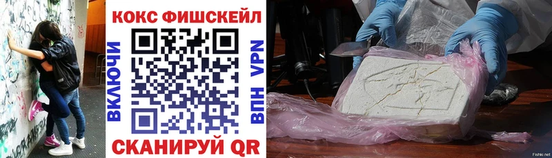 COCAIN Fish Scale  Купить закладки  Спас-Деменск 