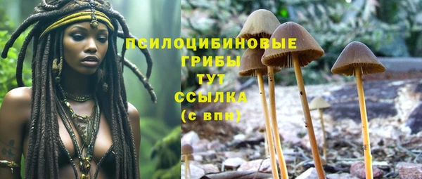 дурь Баксан
