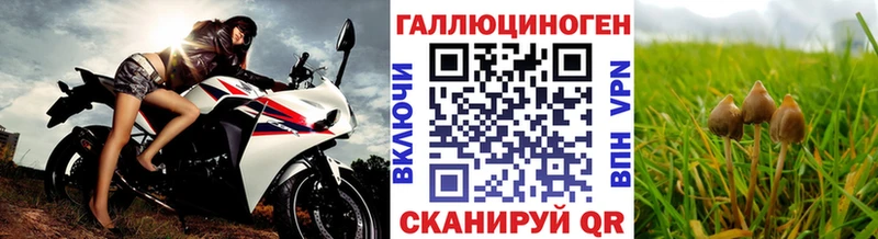 Купить где  Спас-Деменск  Галлюциногенные грибы GOLDEN TEACHER 