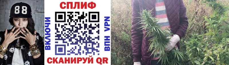 Купить где  Спас-Деменск  Каннабис планчик 
